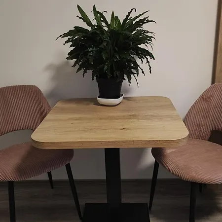 Martino 올로모우츠